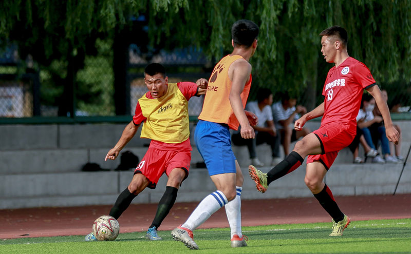 Opta预测欧冠夺冠概率：阿森纳24%第一，拜仁、曼城二三位